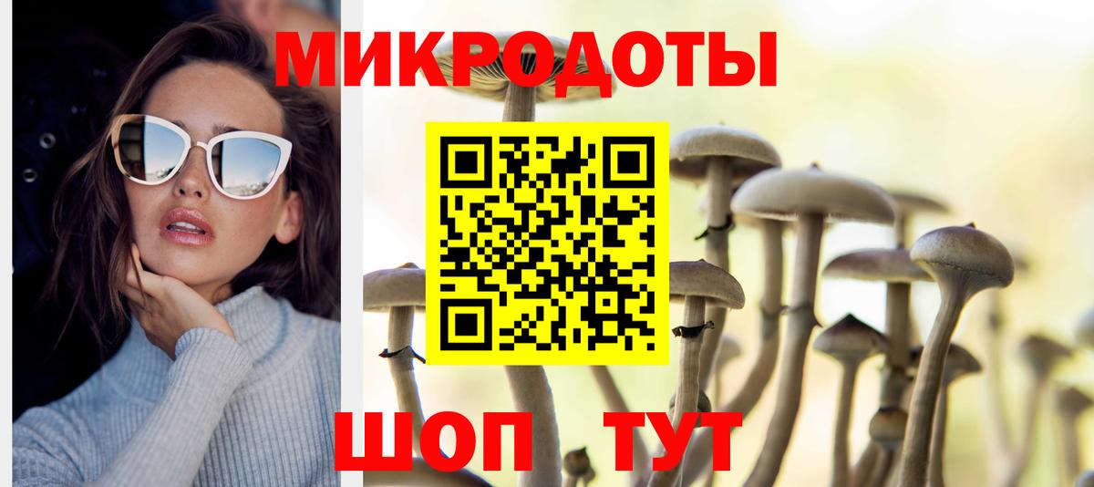 Кировск  Псилоцибиновые грибы Psilocybine cubensis  Вход с VPN 